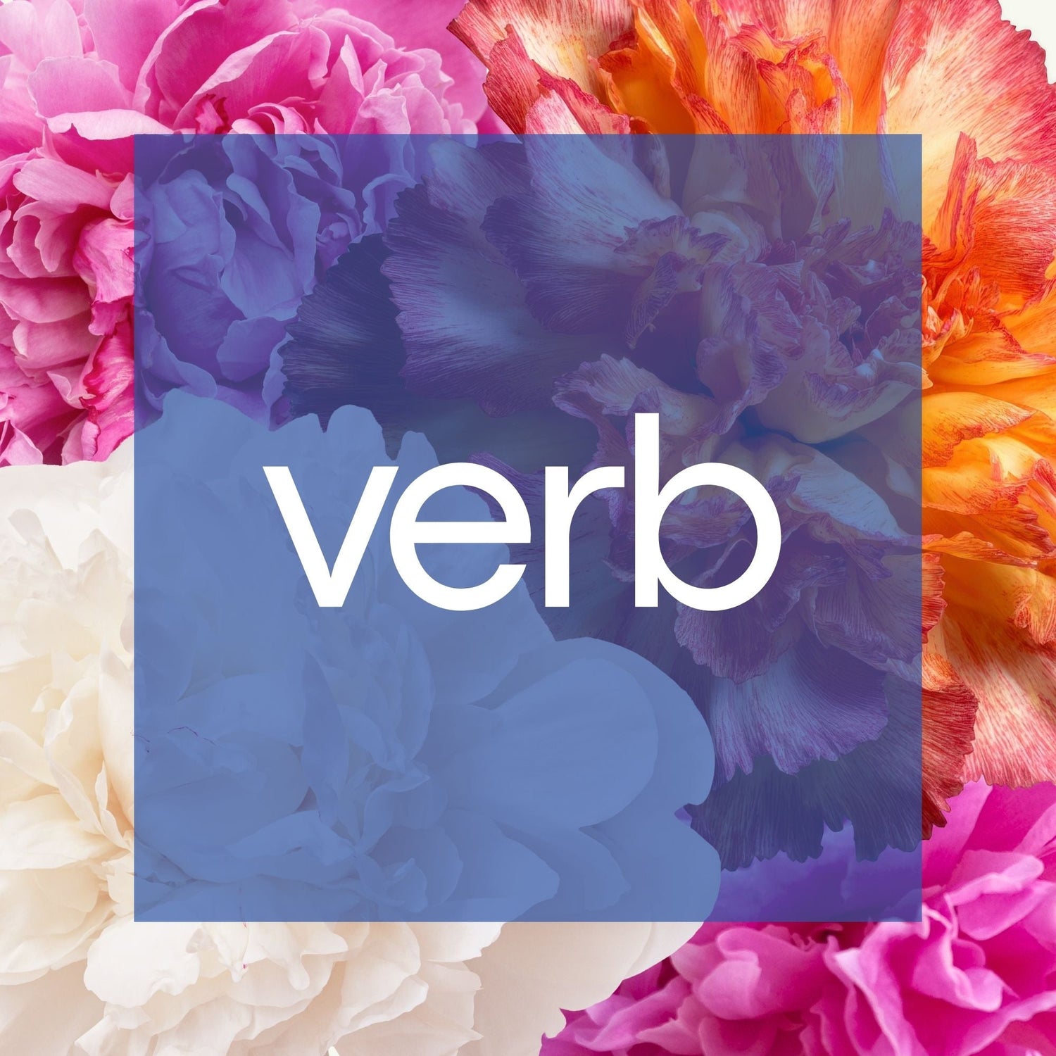 Verb