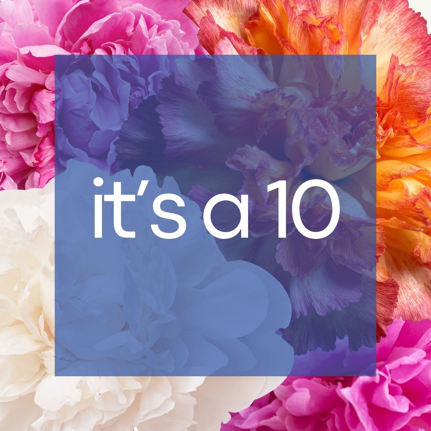 It's a 10