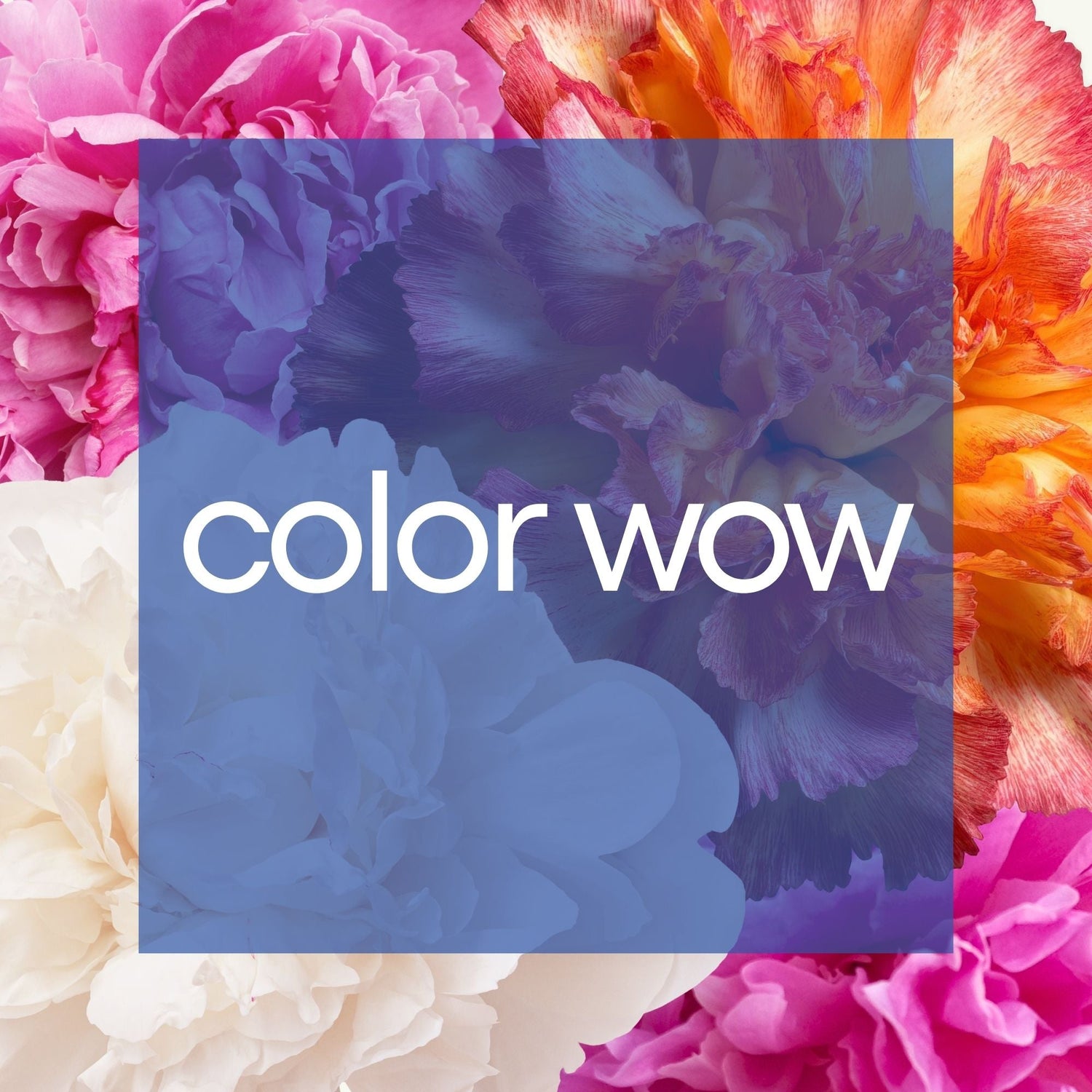 Color Wow