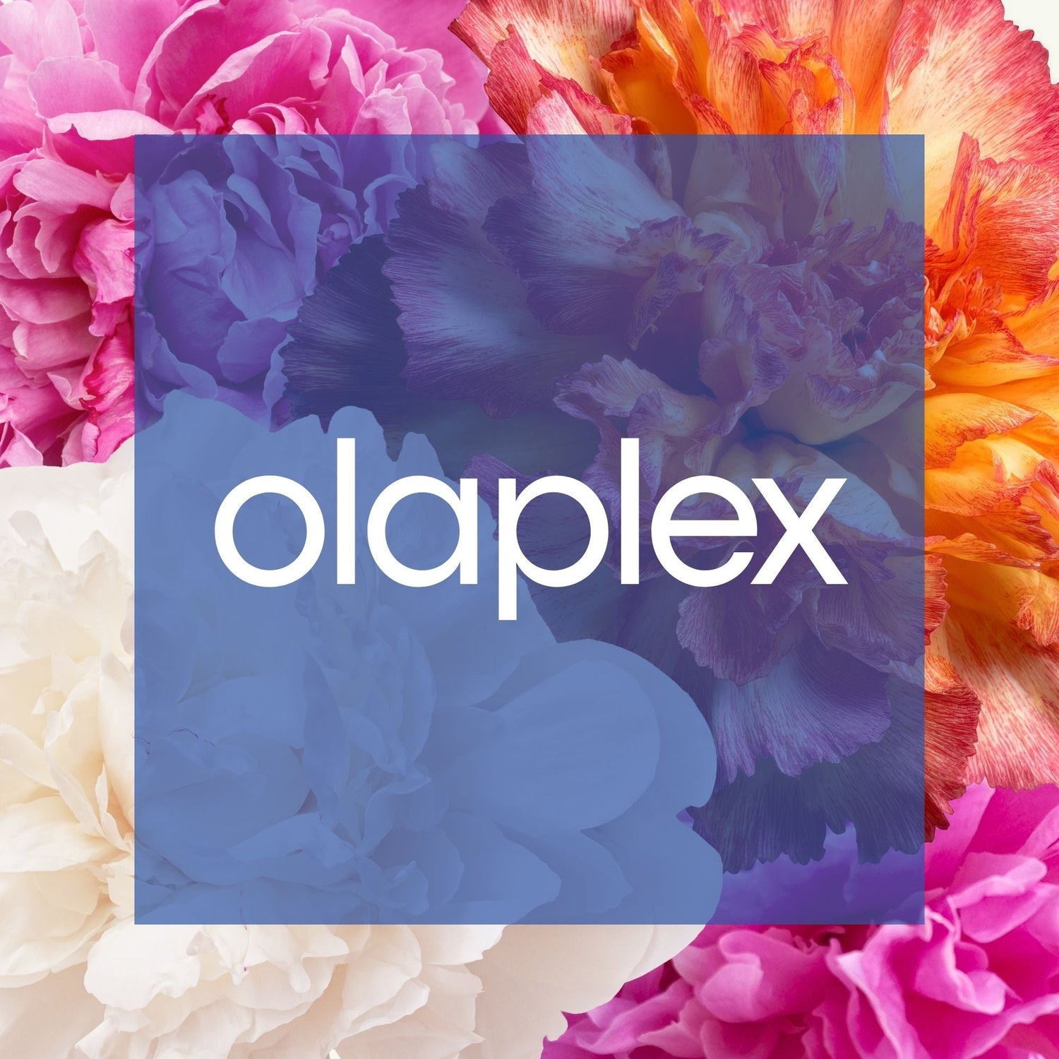 Olaplex