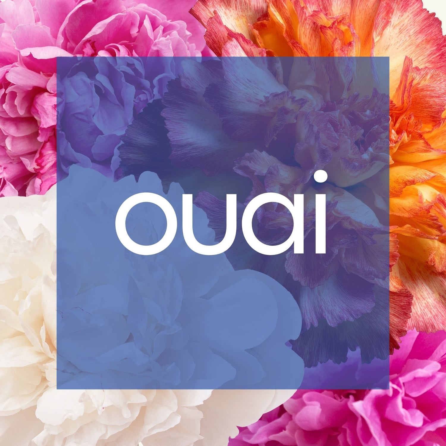 Ouai