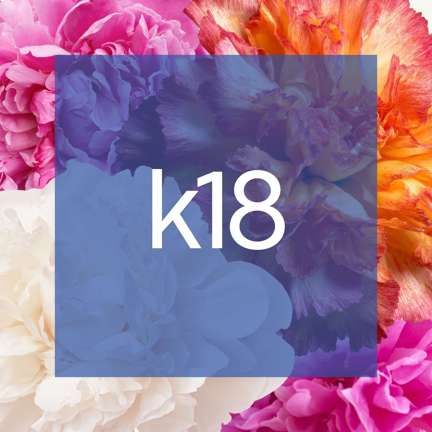 K18