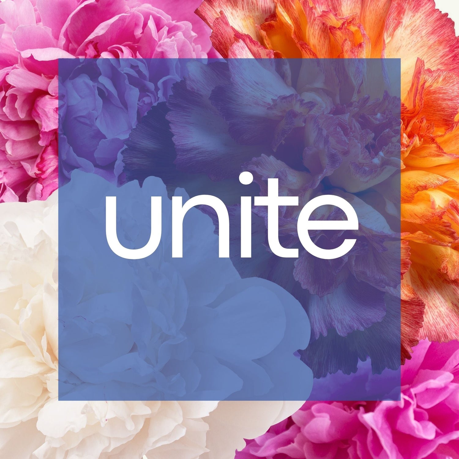 UNITE