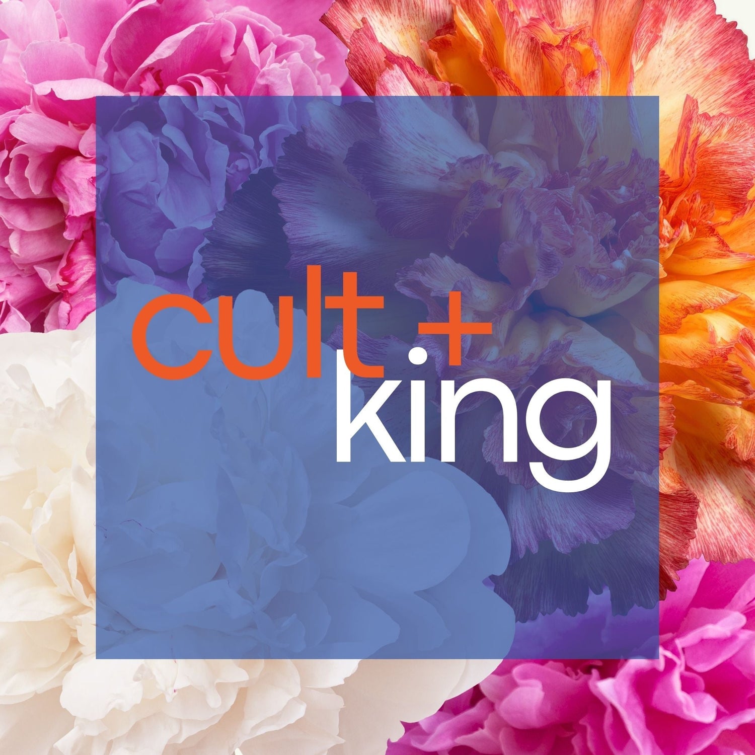 Cult & King