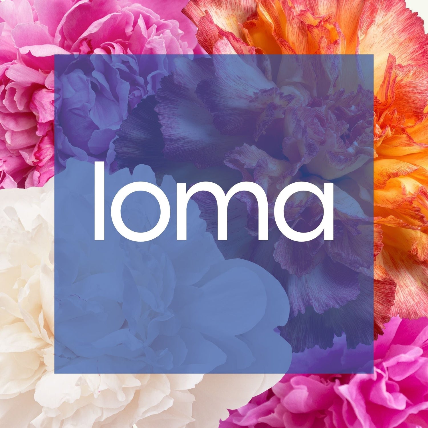 Loma