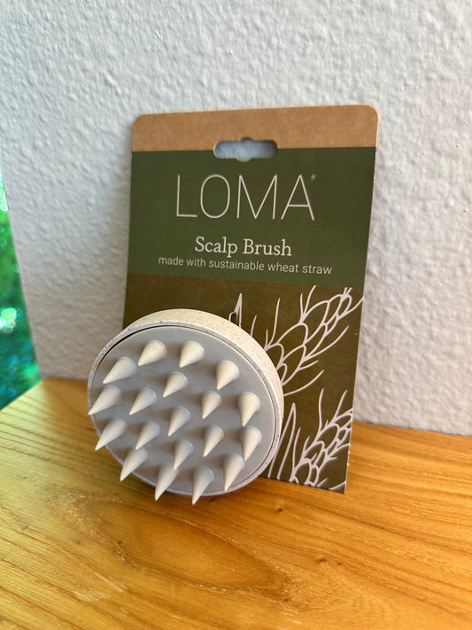 Loma Scalp Brush