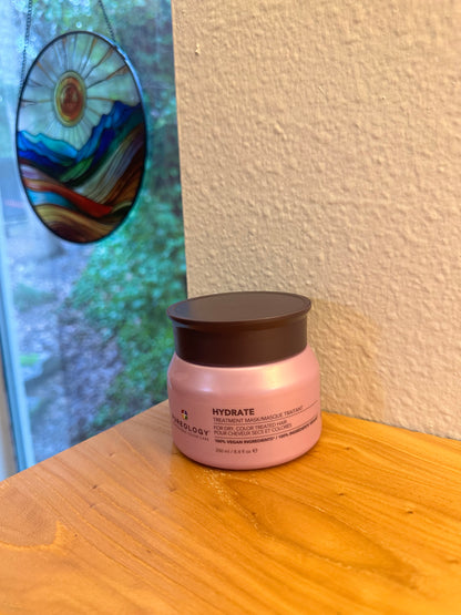Pureology Hydrate Treatment Mask